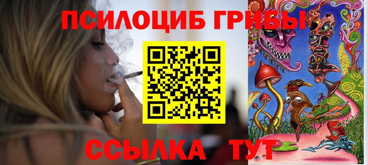 Тимашёвск  Псилоцибиновые грибы Magic Shrooms  как найти   Вход с VPN 